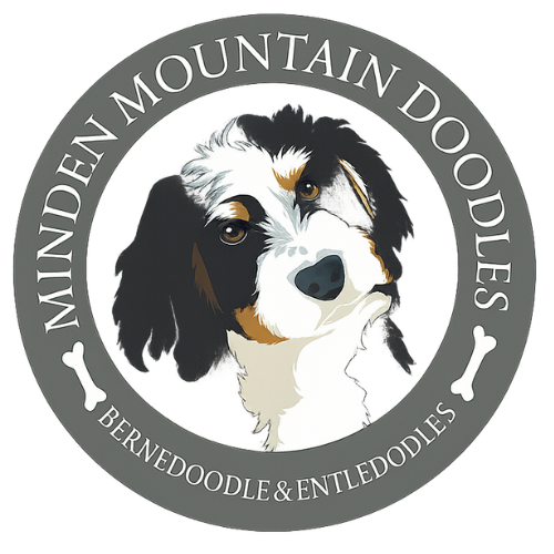 Minden Mountain Doodles logo